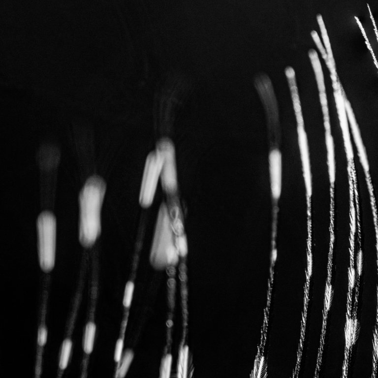 Blurred light strands in darkness